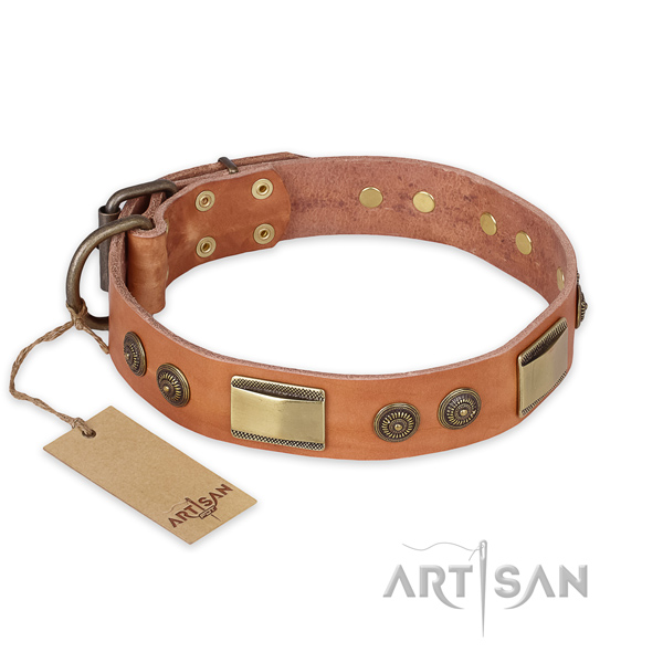 Handmade full grain natural leather dog collar for everyday use