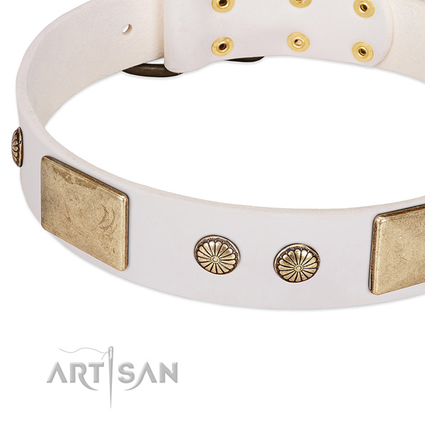 Rust-proof adornments on leather dog collar for your dog
