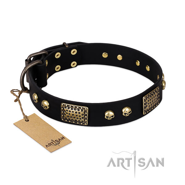 Adjustable full grain genuine leather dog collar for stylish walking your doggie