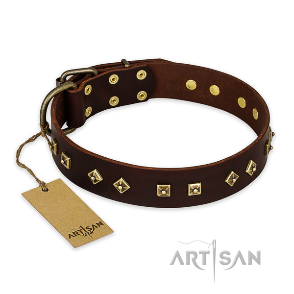 Incredible genuine leather dog collar with rust resistant traditional buckle