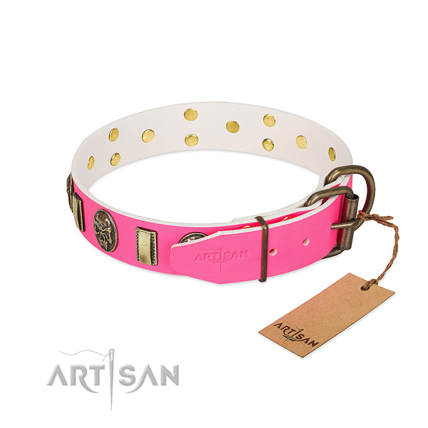 Corrosion resistant embellishments on full grain leather dog collar for your canine