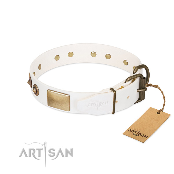 Corrosion resistant fittings on leather dog collar for your canine