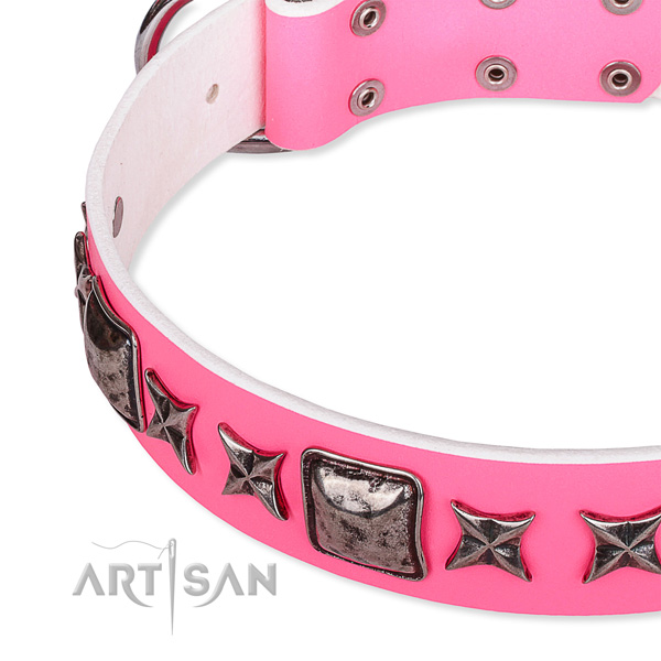 Daily use adorned dog collar of top notch full grain genuine leather