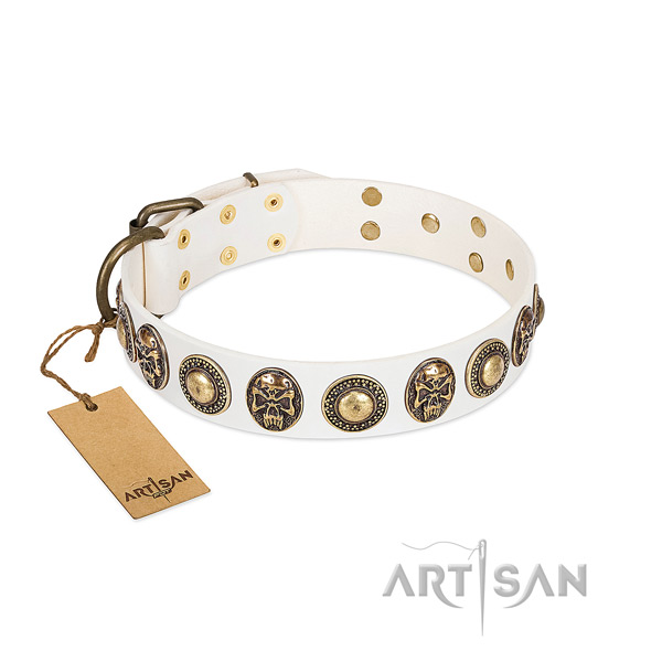 Easy adjustable full grain leather dog collar for stylish walking your pet