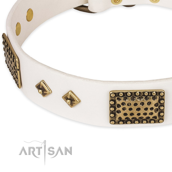 Durable traditional buckle on genuine leather dog collar for your four-legged friend