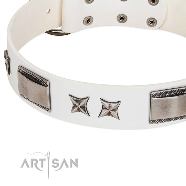 Flexible full grain natural leather dog collar with reliable buckle