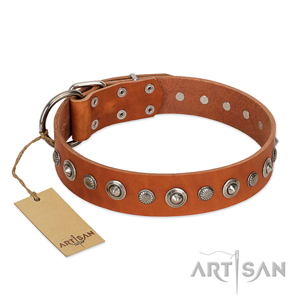 Top notch full grain natural leather dog collar with fashionable embellishments