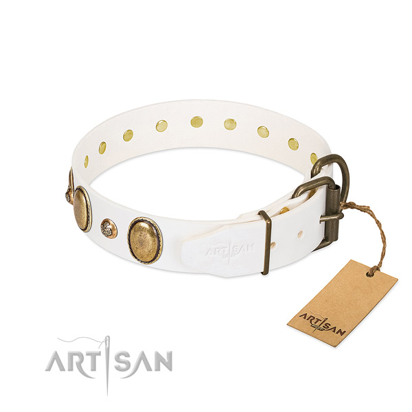 Daily walking leather dog collar