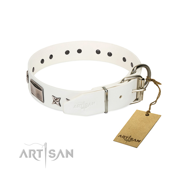 Impressive collar of full grain natural leather for your handsome doggie