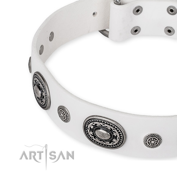 Reliable full grain natural leather dog collar handmade for your stylish canine