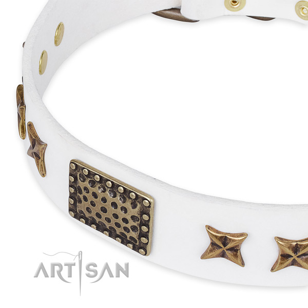 Leather collar with rust-proof hardware for your stylish four-legged friend