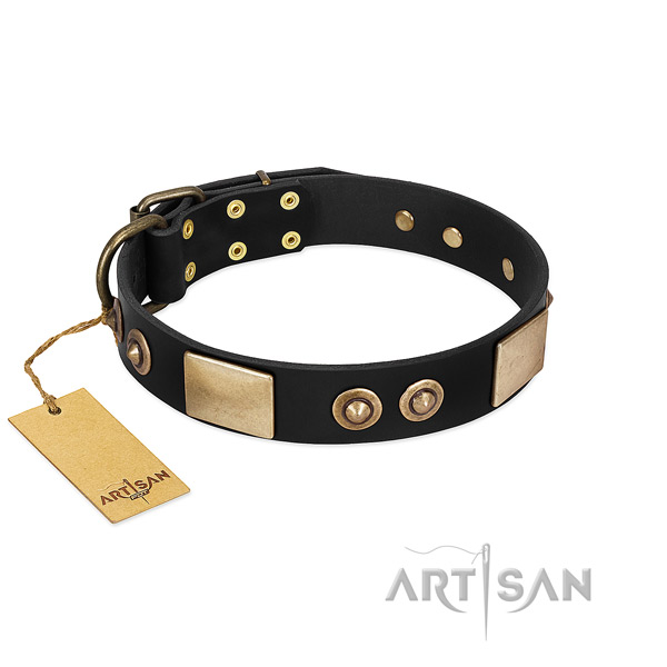 Easy to adjust genuine leather dog collar for basic training your canine