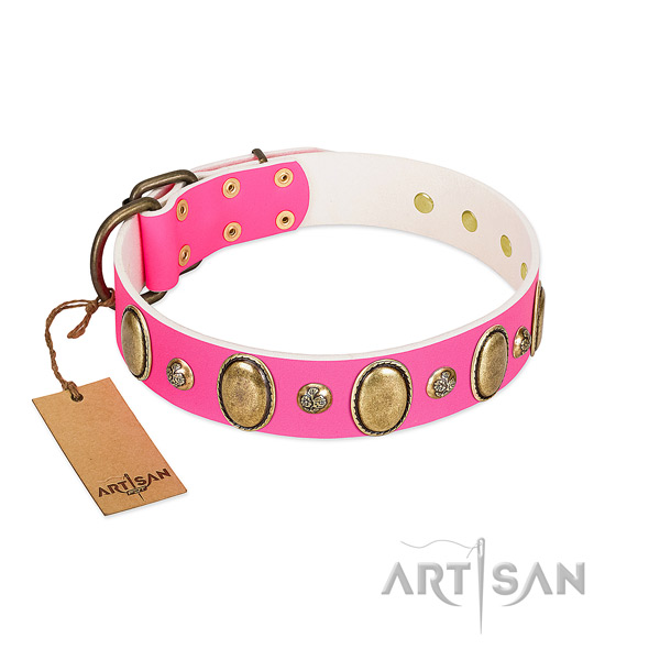 Natural leather dog collar of reliable material with remarkable decorations