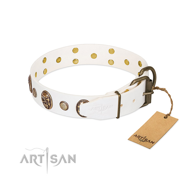 Rust resistant hardware on full grain natural leather collar for stylish walking your doggie
