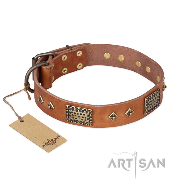 Amazing full grain natural leather dog collar for stylish walking