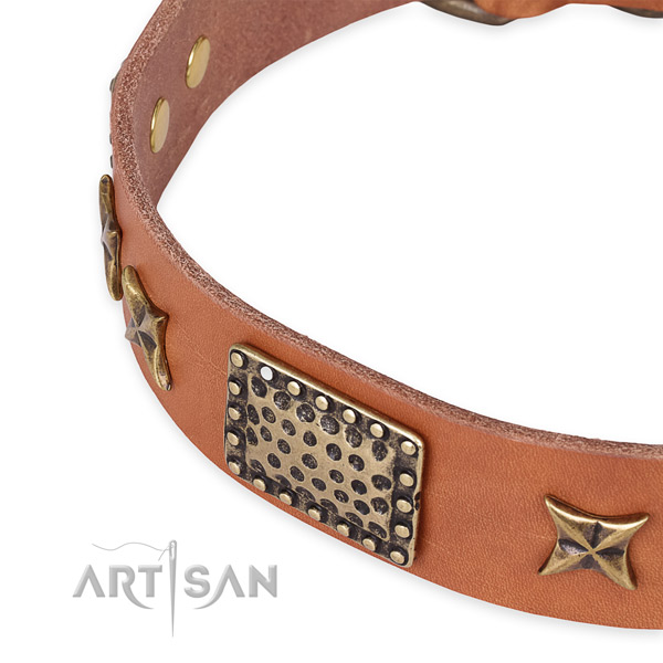 Full grain natural leather collar with corrosion proof hardware for your stylish doggie