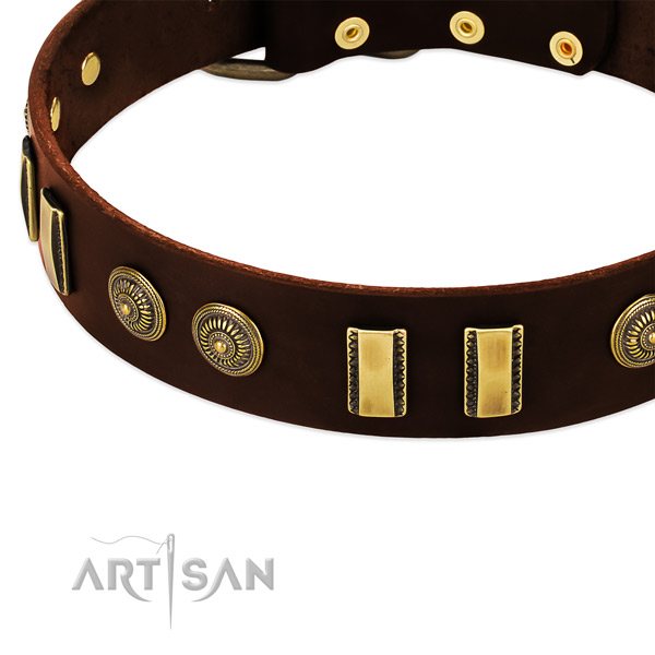 Rust-proof embellishments on leather dog collar for your four-legged friend