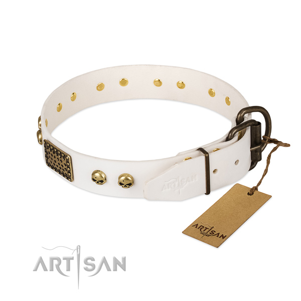 Easy adjustable full grain leather dog collar for stylish walking your dog