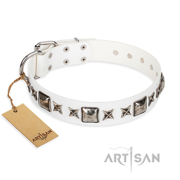 Full grain natural leather dog collar made of gentle to touch material with rust-proof hardware