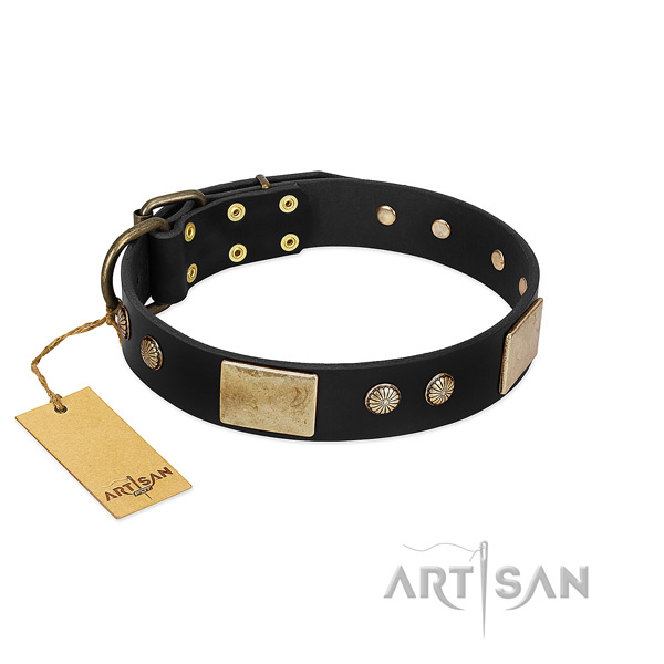 Exceptional full grain genuine leather dog collar for walking