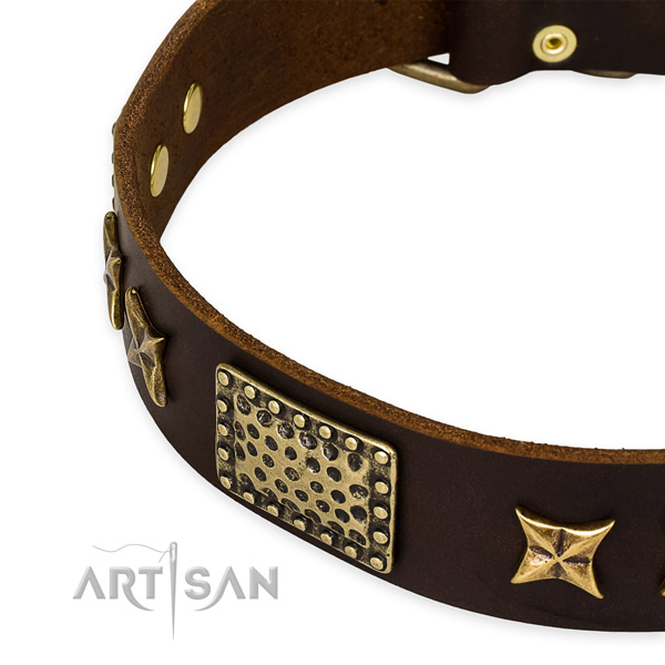 Full grain genuine leather collar with durable buckle for your lovely pet