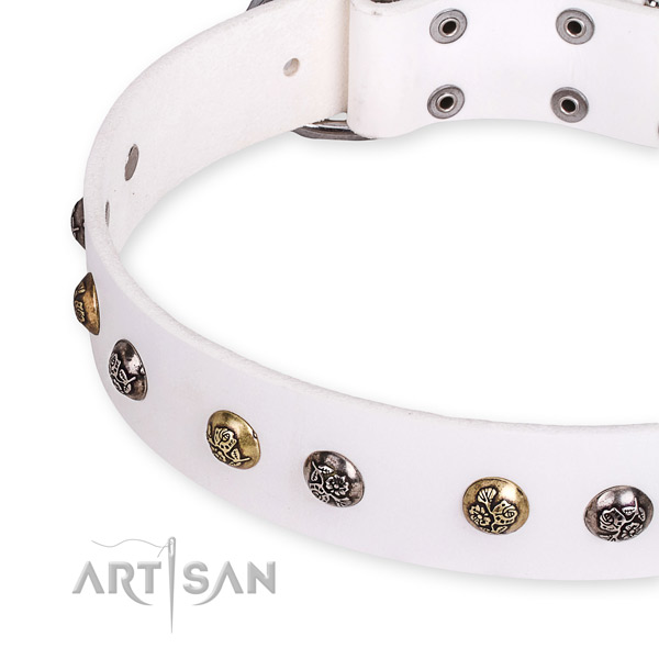 Genuine leather dog collar with stunning reliable decorations