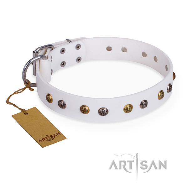Easy wearing awesome dog collar with rust resistant hardware