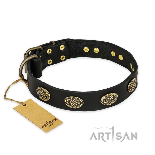 Studded genuine leather dog collar with corrosion resistant buckle