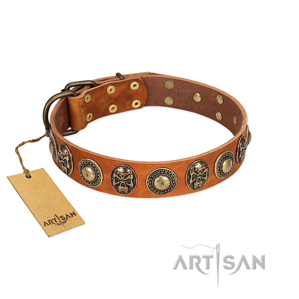 Easy adjustable full grain leather dog collar for daily walking your pet