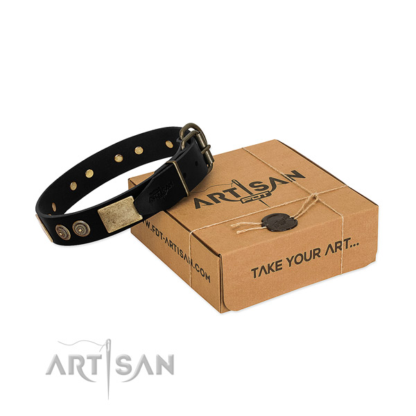 Corrosion proof buckle on leather dog collar for your four-legged friend