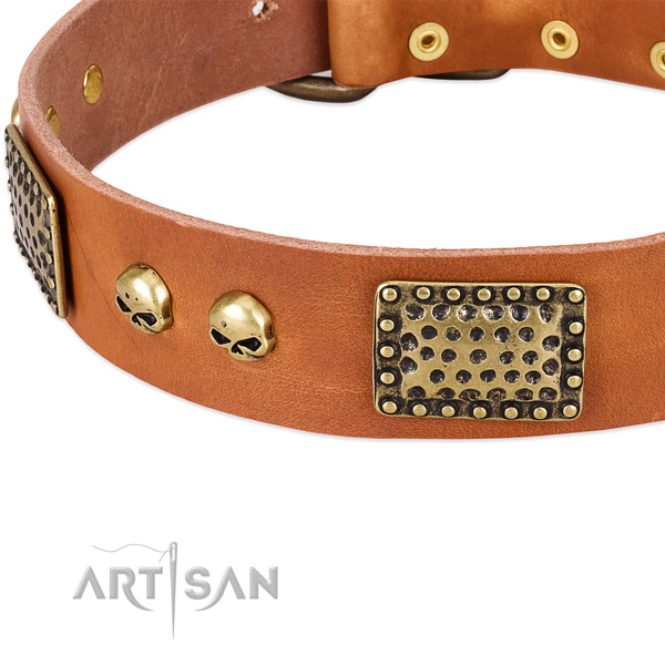 Corrosion resistant traditional buckle on full grain leather dog collar for your pet
