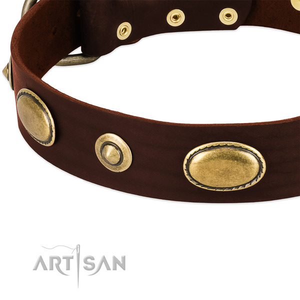 Durable embellishments on full grain genuine leather dog collar for your dog