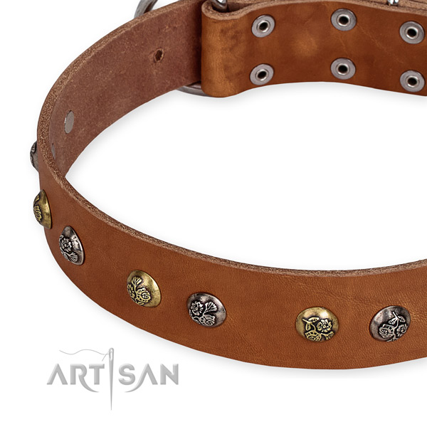 Leather dog collar with fashionable corrosion proof adornments