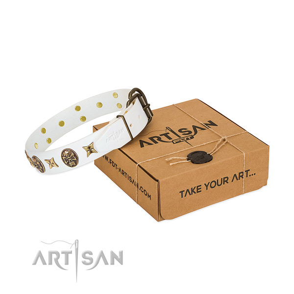 Rust resistant D-ring on leather dog collar for daily walking