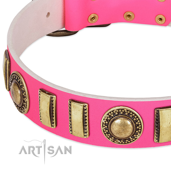 Top notch genuine leather dog collar for your attractive canine