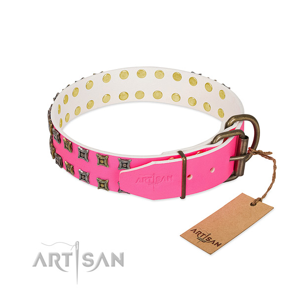 Leather collar with fashionable adornments for your four-legged friend