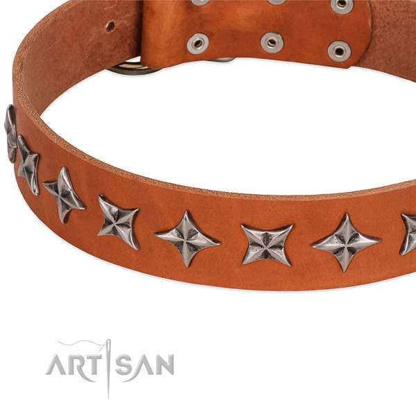 Comfy wearing adorned dog collar of quality full grain genuine leather