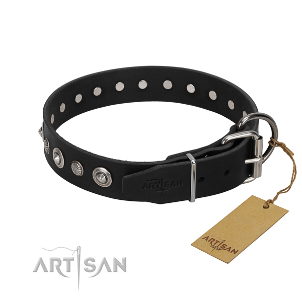 High quality natural leather dog collar with stylish adornments