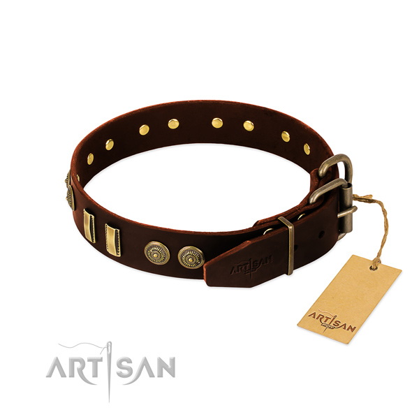 Rust-proof traditional buckle on full grain natural leather dog collar for your dog