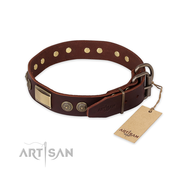 Rust resistant fittings on genuine leather collar for everyday walking your pet