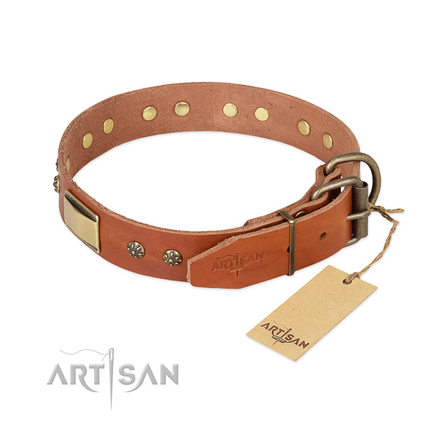 Natural genuine leather dog collar with durable fittings and embellishments