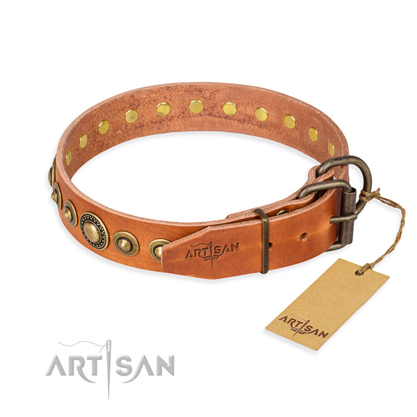 Strong full grain leather dog collar crafted for walking