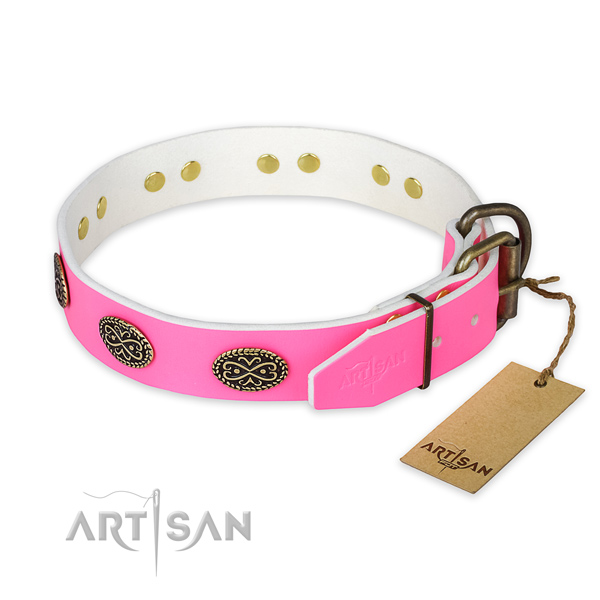 Everyday use leather collar with decorations for your canine