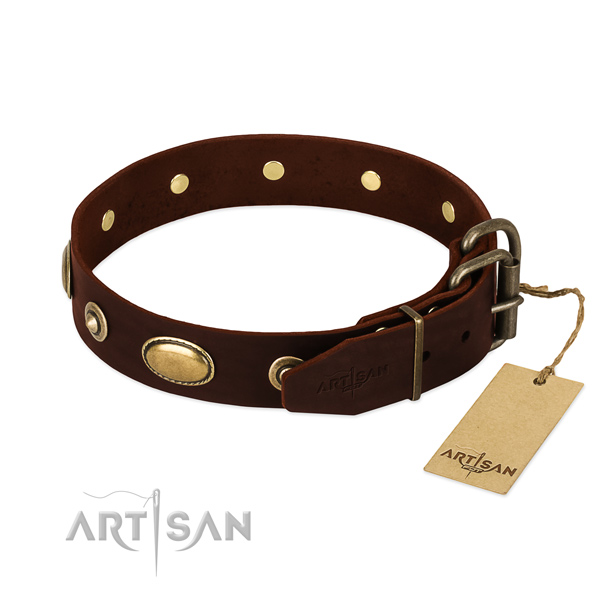 Rust-proof embellishments on leather dog collar for your pet