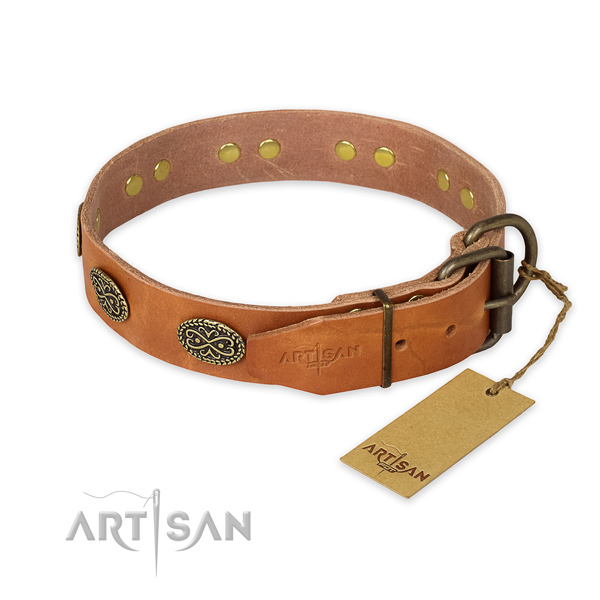 Corrosion resistant hardware on full grain leather collar for stylish walking your pet