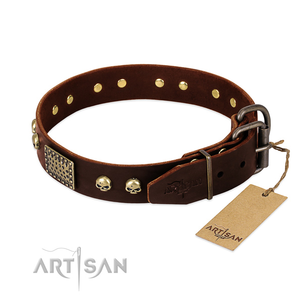 Corrosion resistant traditional buckle on daily use dog collar