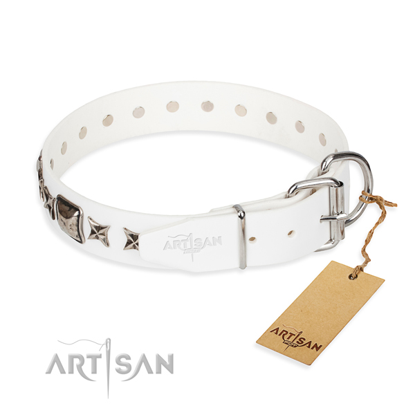 Strong studded dog collar of leather