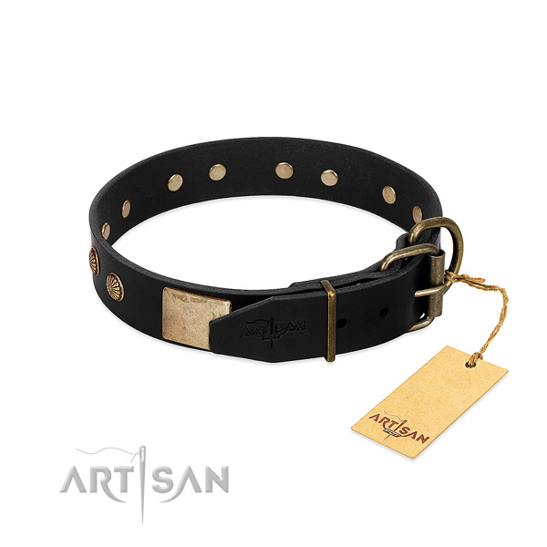 Corrosion proof hardware on basic training dog collar