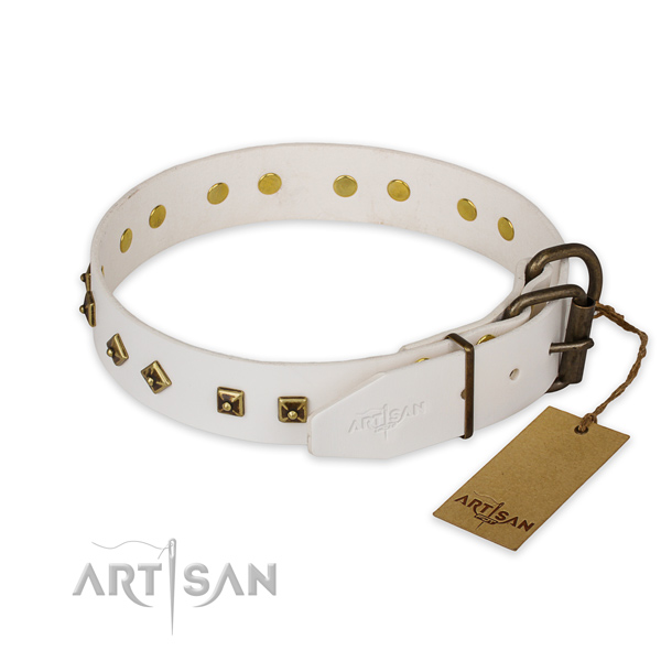 Strong fittings on leather collar for walking your dog