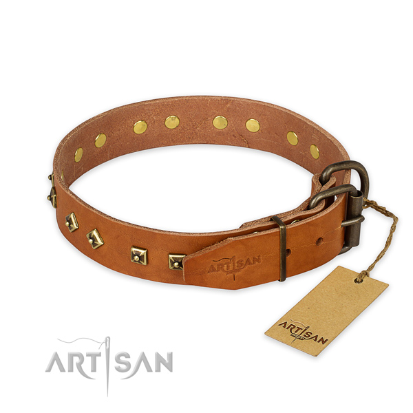 Rust resistant D-ring on full grain leather collar for daily walking your canine